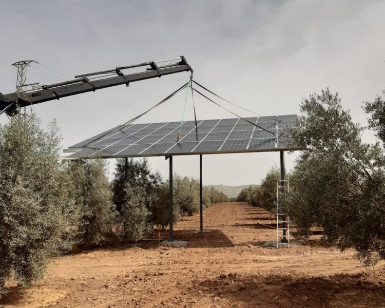 Estructura para placas solares ( vega de Archidona)